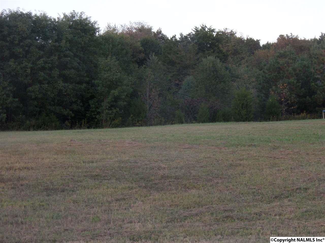 Burwell Hills Drive - Photo 1