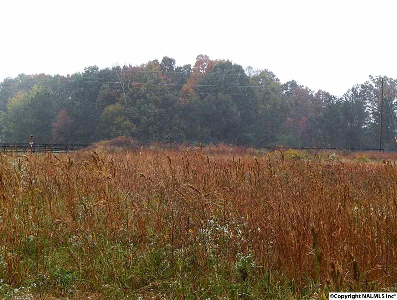 15 Union Grove Road - Photo 1