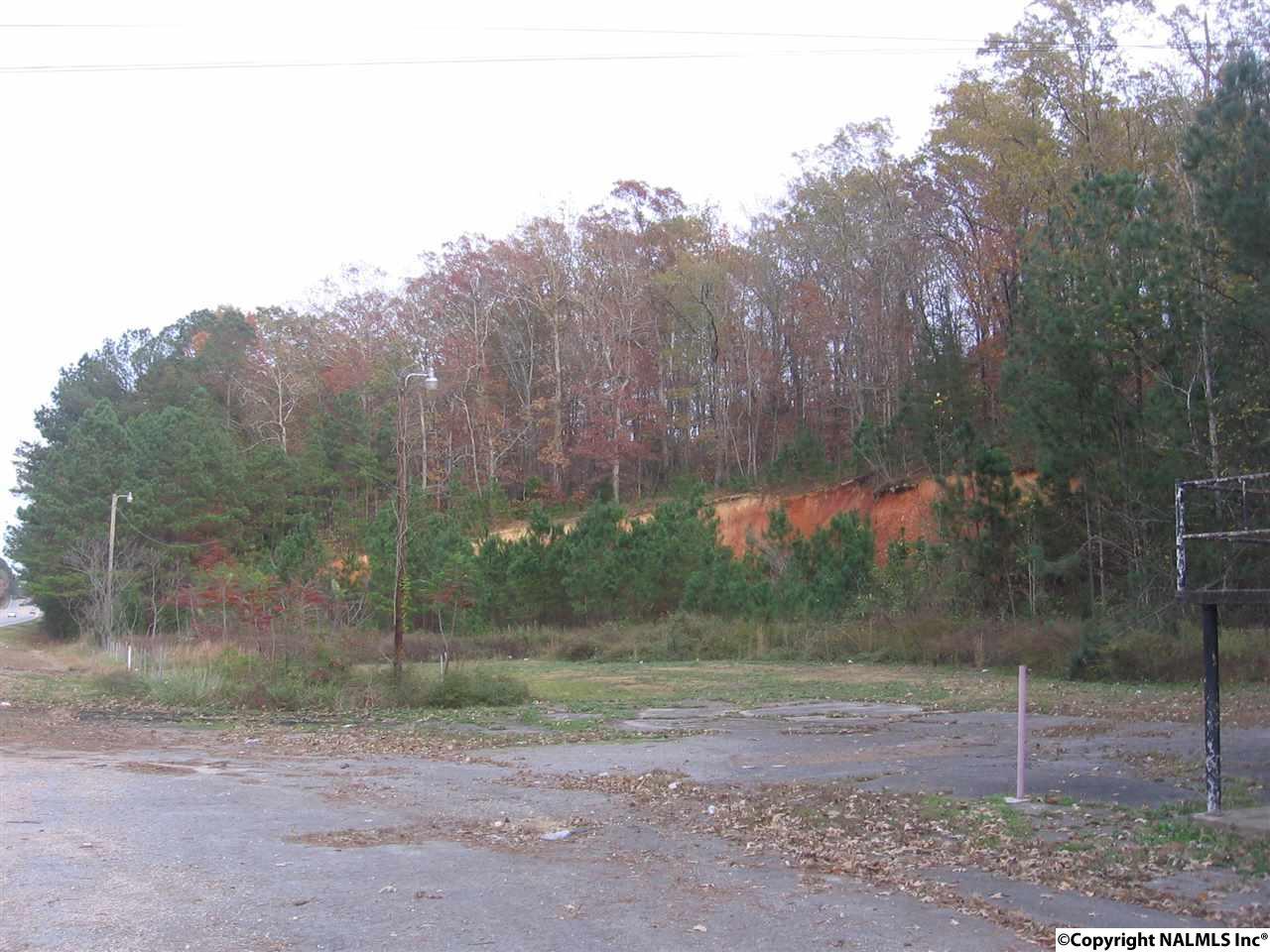 4334 Alabama Hwy 79 - Photo 1