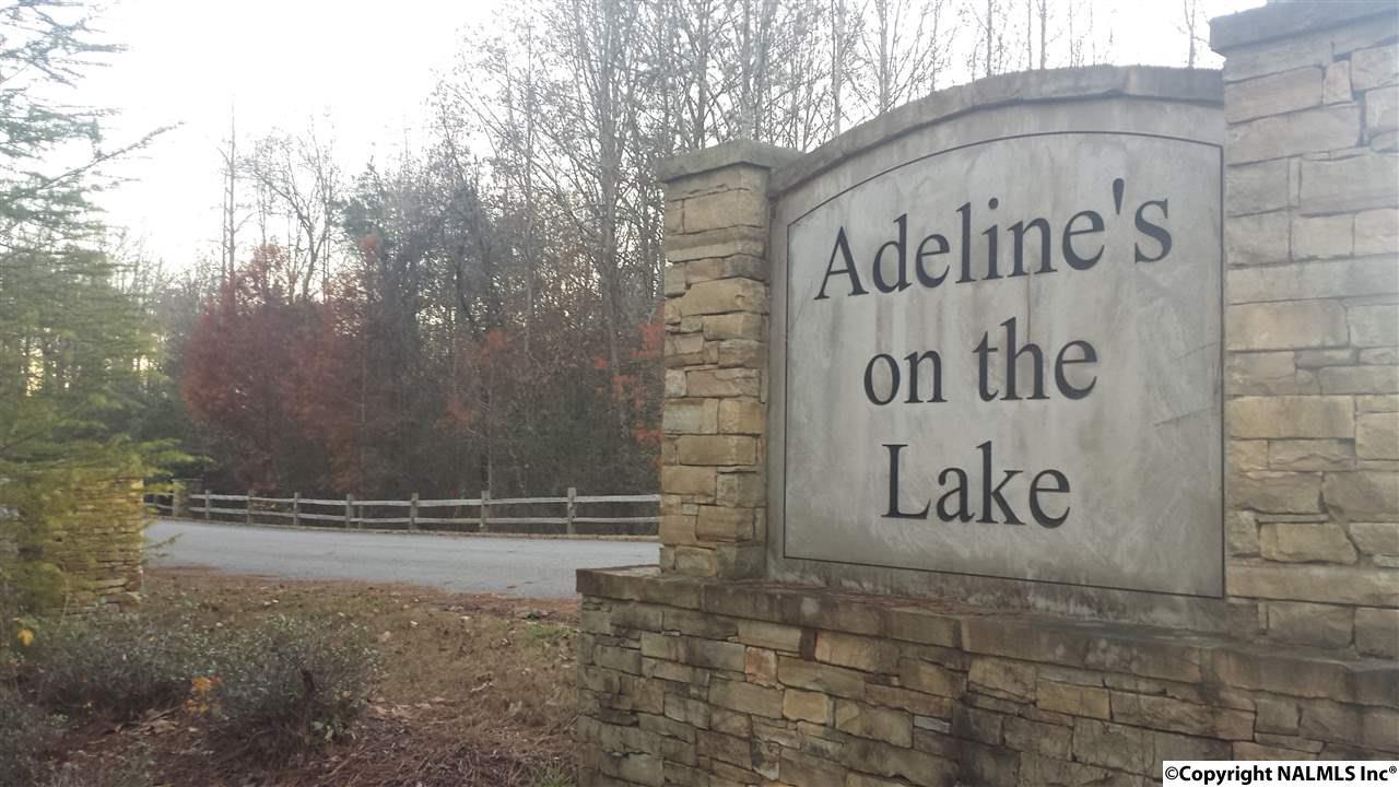 3 Adeline's Way - Photo 1