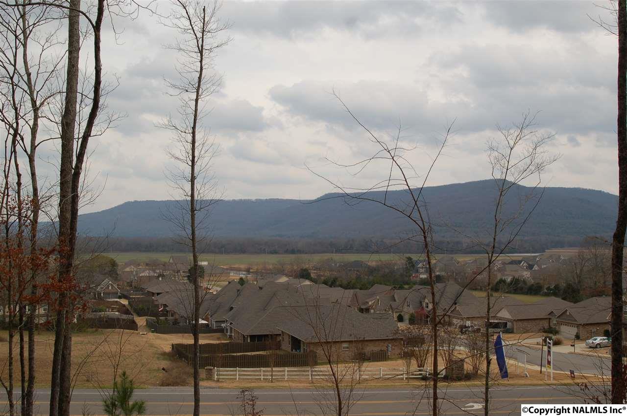 0 Little Cove Road - Photo 1