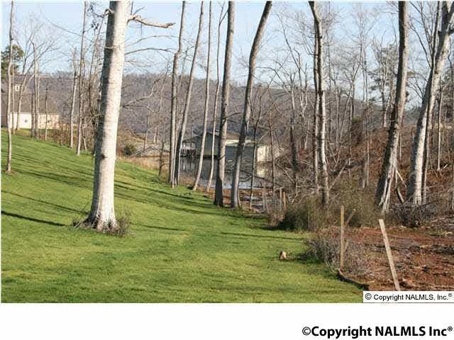 0 Buck Island Drive - Photo 1