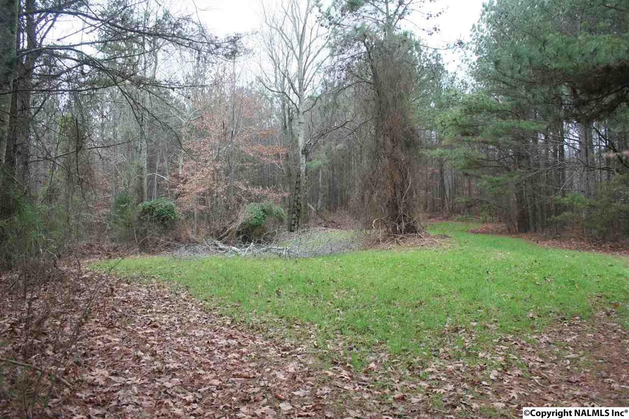 0 Double S Mountain Road - Photo 1