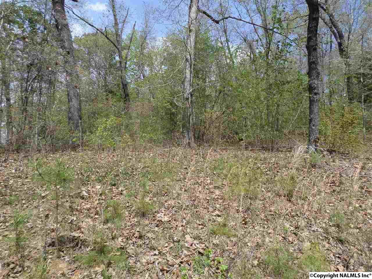 Lot 5, Add.2 County Road 137 - Photo 1