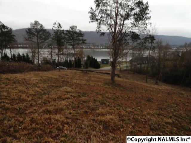 00 Driftwood Shores Drive - Photo 1