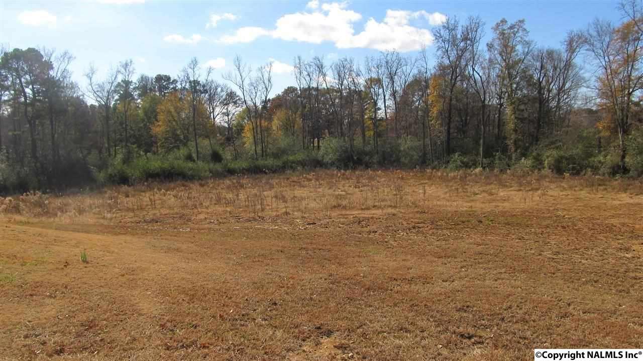 0 County Road 470 - Photo 1