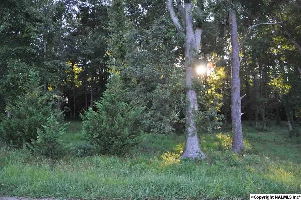 0 Al Highway 69 - Photo 1