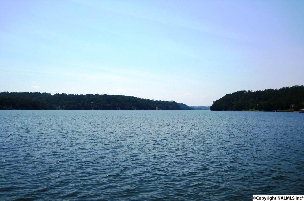 2A County Road 360 - Photo 1