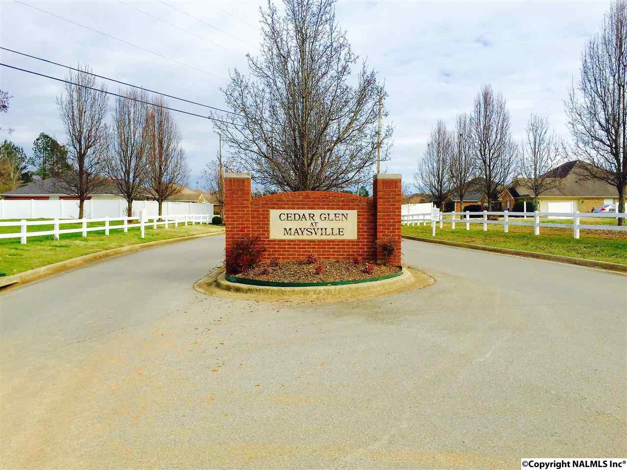 229 Magnolia Glen Drive - Photo 1