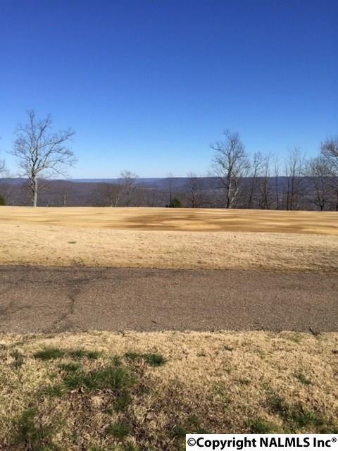 63 Ledge View Drive - Photo 1