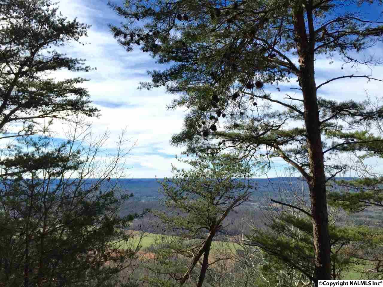 County Road 89 - Photo 1