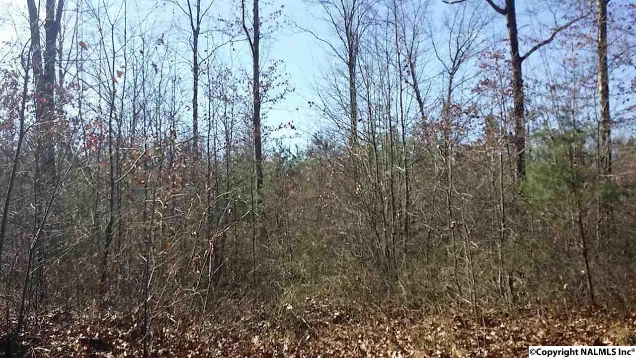 381 Roberts Road - Photo 1