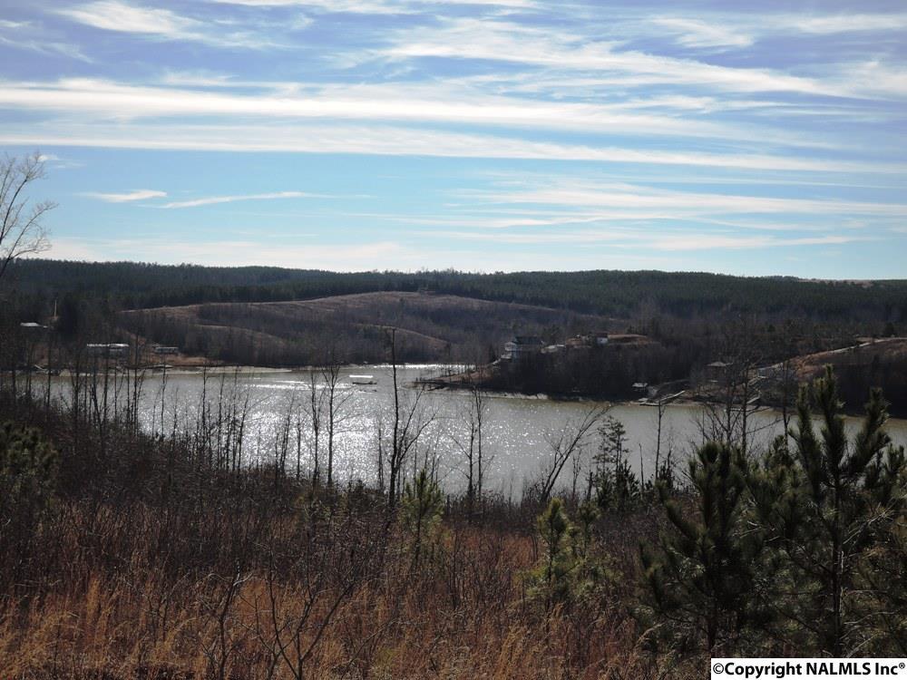 29 Longview Drive - Photo 1