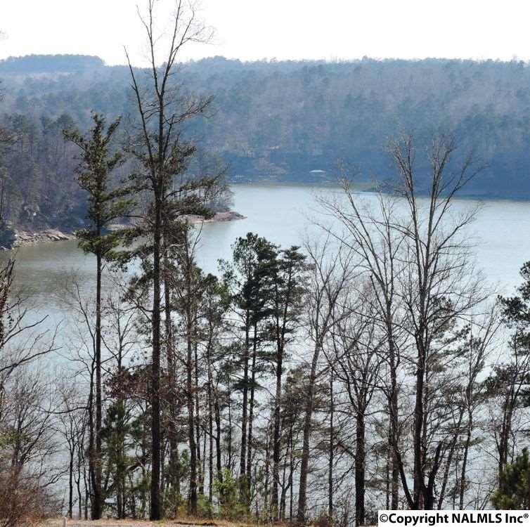 37 Rock Creek Penninsula - Photo 1