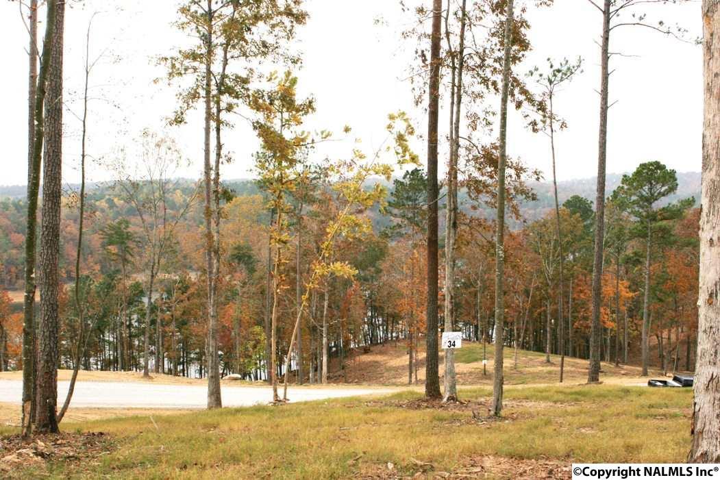 34 Rock Creek Penninsula - Photo 1