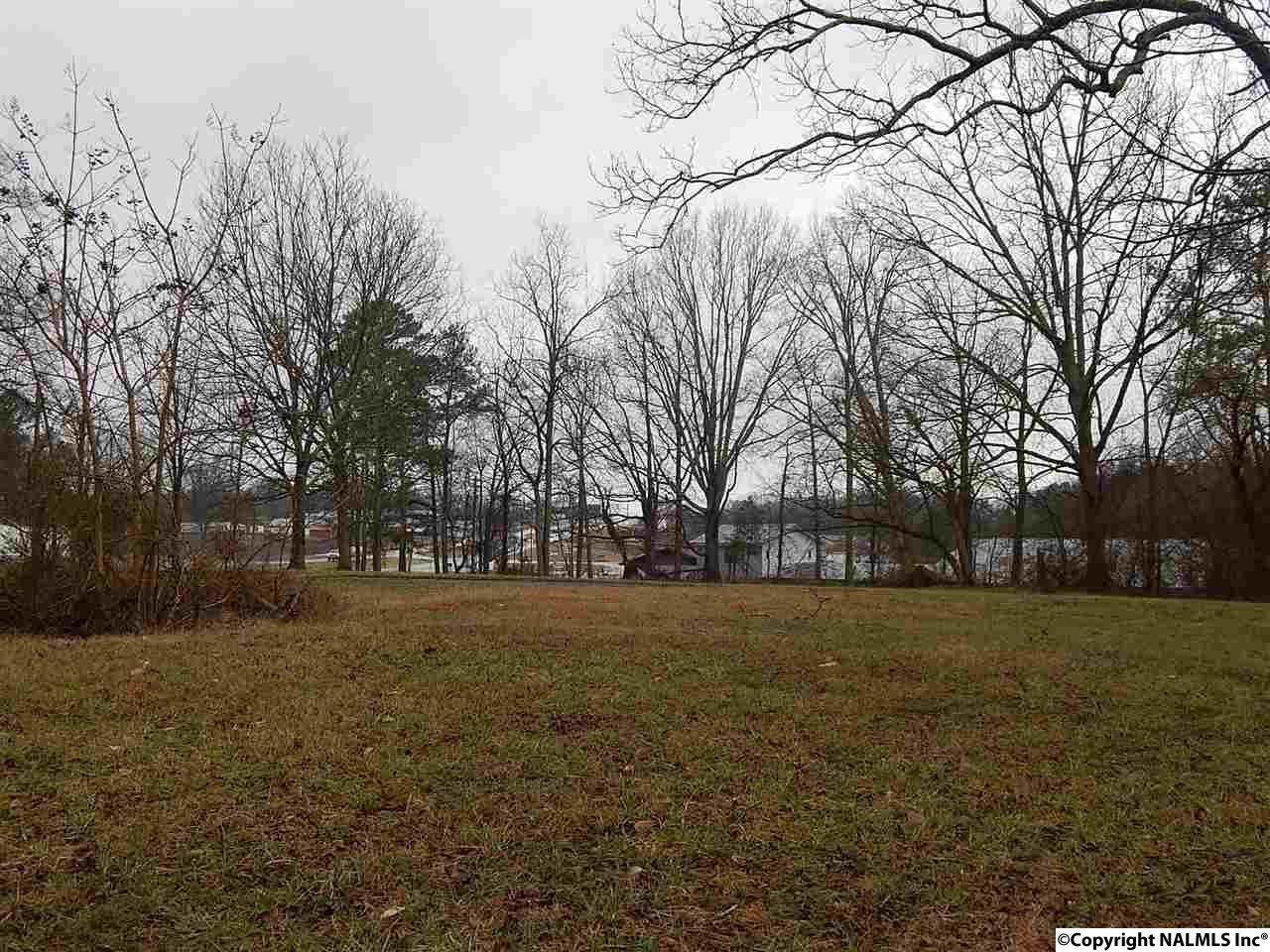 00 Highway 231 - Photo 1
