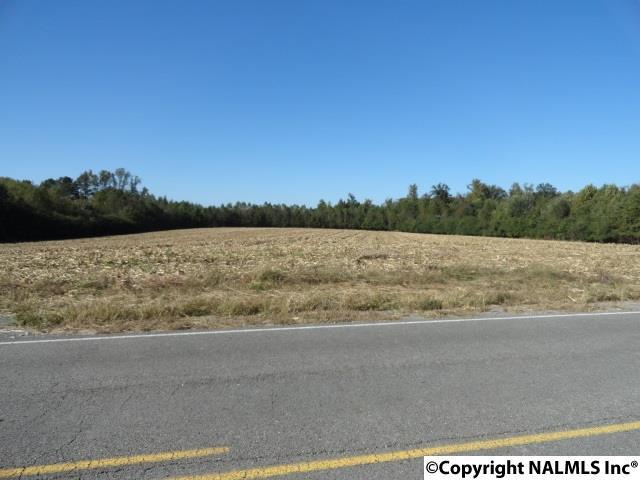 1 County Road 60 - Photo 1