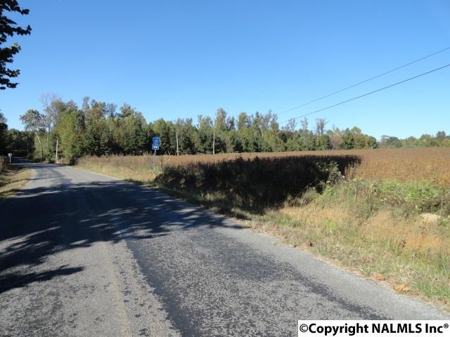 2 County Road 60 - Photo 1