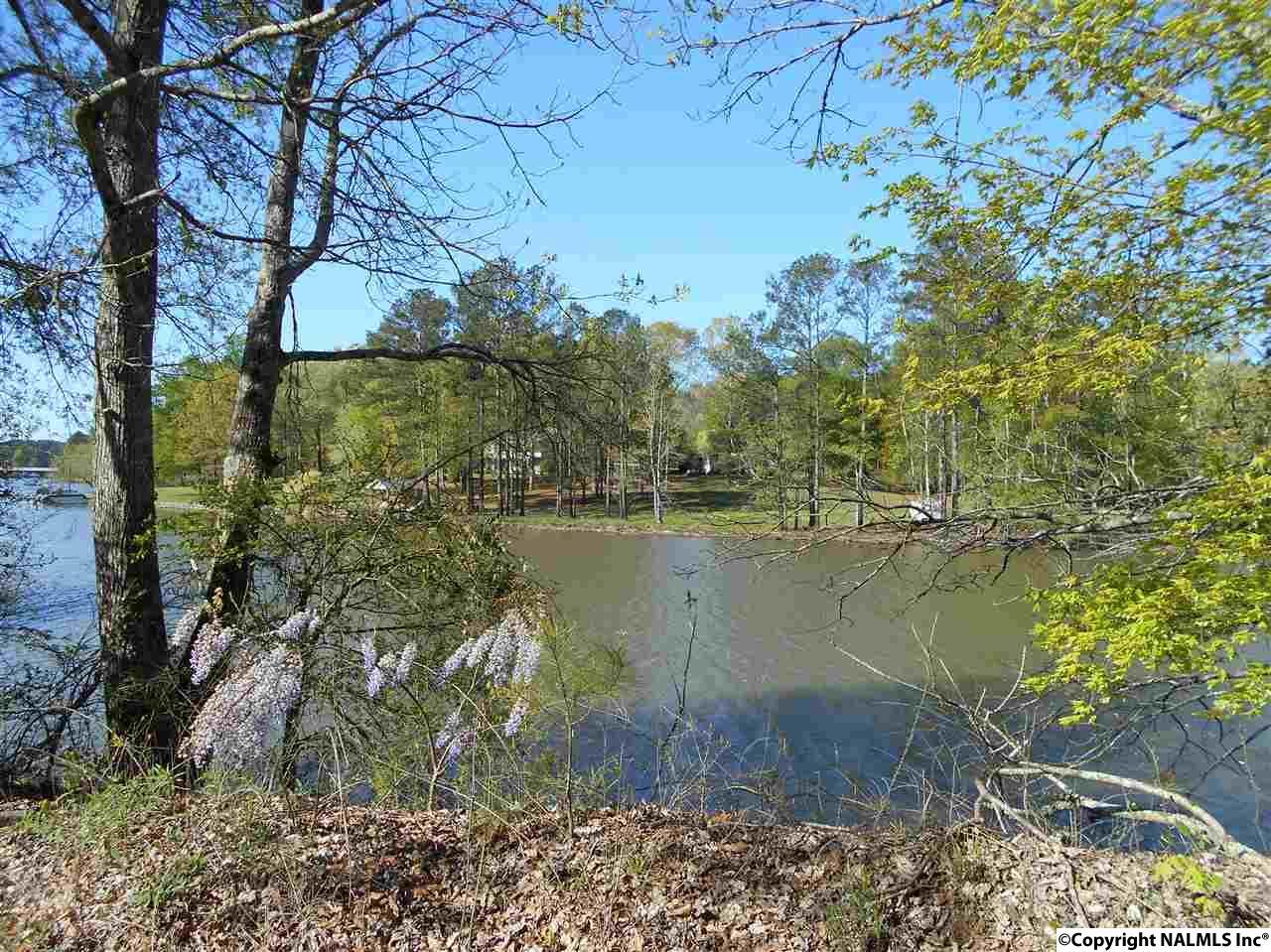 0 Riddles Bend Road - Photo 1
