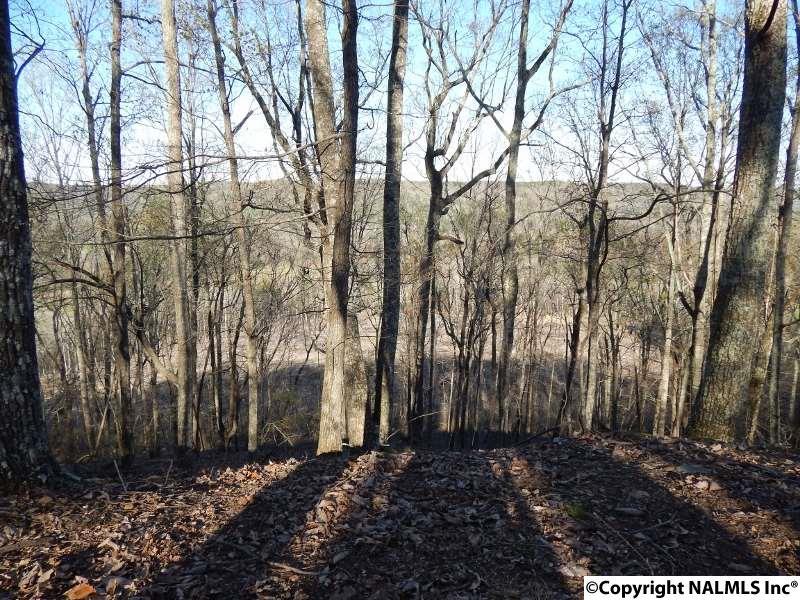 0 Underwood Mountain Road - Photo 1