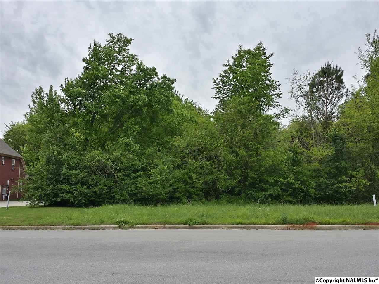 Lot 2 Sunnyview Drive - Photo 1