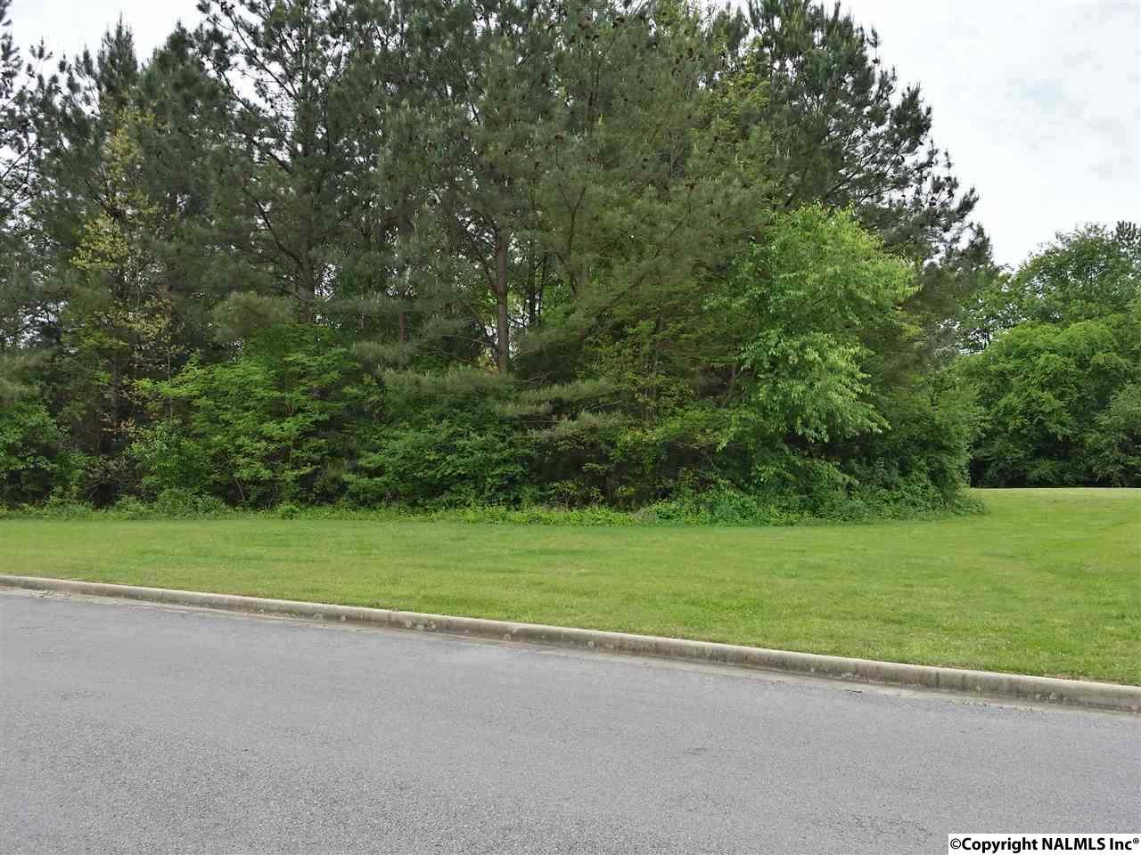 Lot 5 Sunnyview Drive - Photo 1