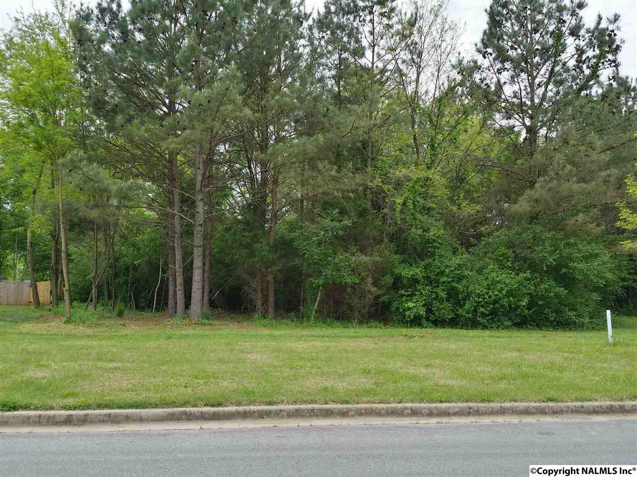 Lot 9 Matilda Drive - Photo 1
