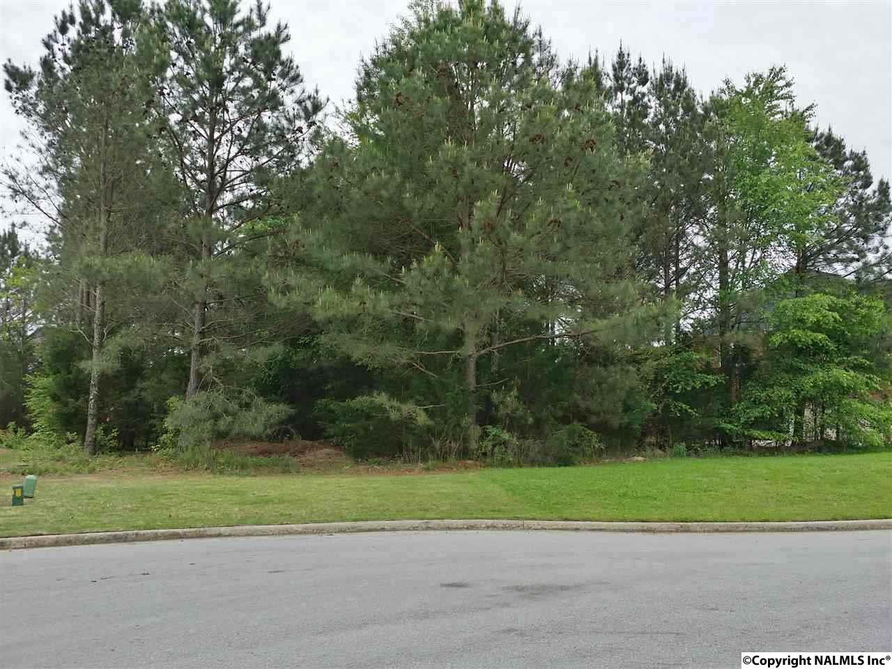 Lot 10 Old Orchard Drive - Photo 1