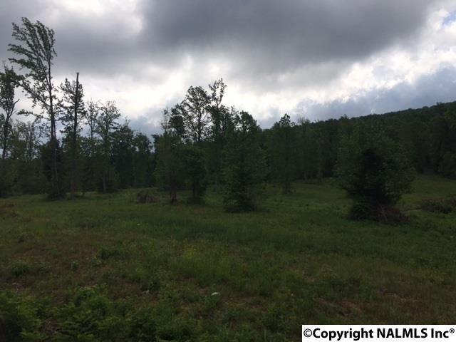 12 County Road 67 - Photo 1
