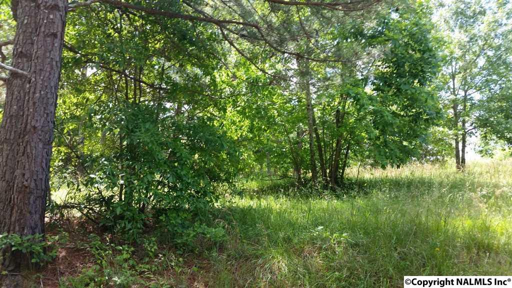 County Road 467 - Photo 1