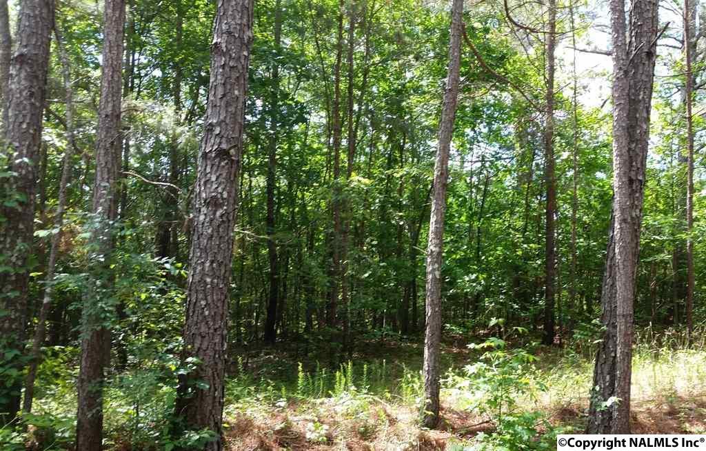 County Road 467 - Photo 1