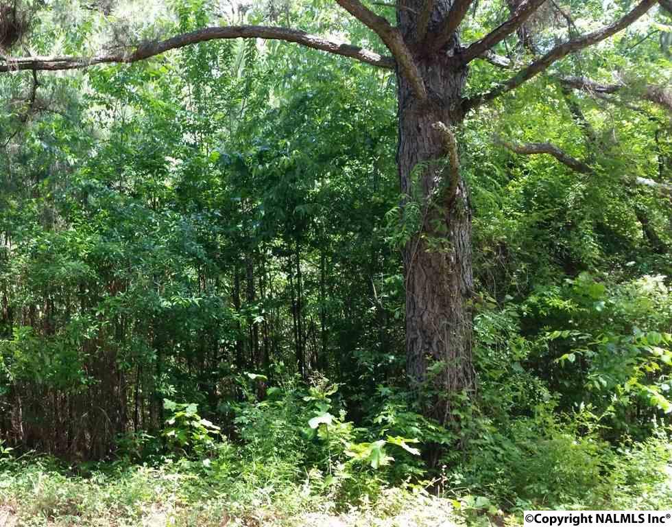 000 County Road 467 - Photo 1