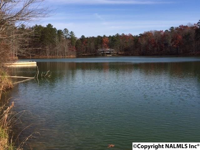 42 County Road 103 - Photo 1