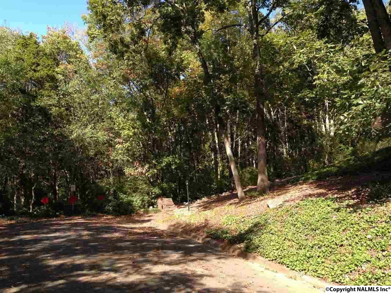 0 Havenwood Drive - Photo 1