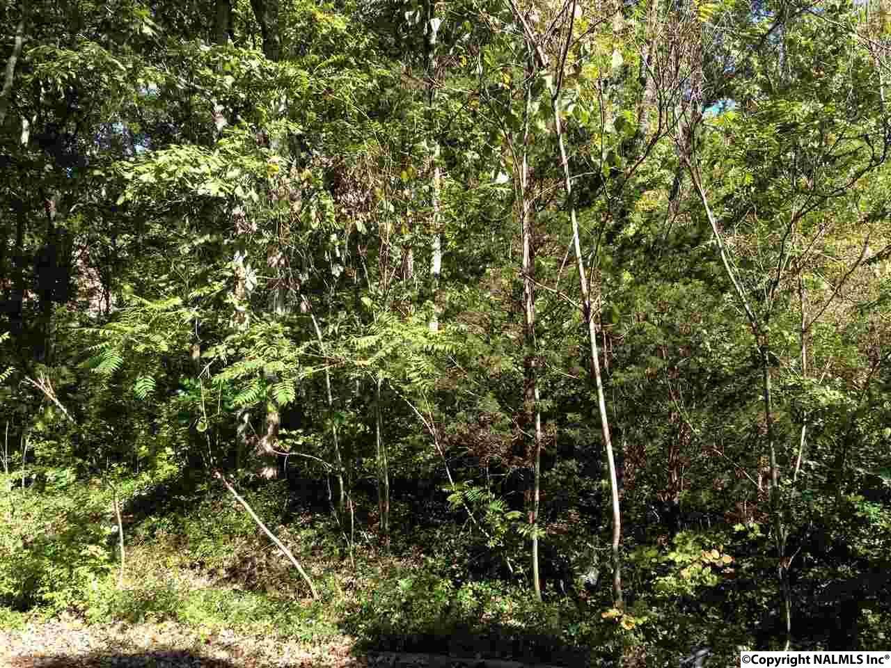 6319 Havenwood Drive - Photo 1