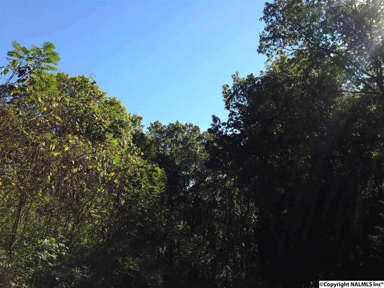 6321 Havenwood Drive - Photo 1