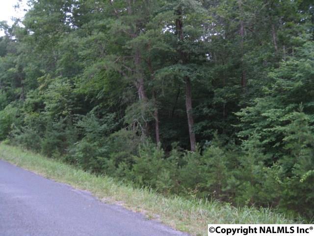 01 County Road 106 - Photo 1