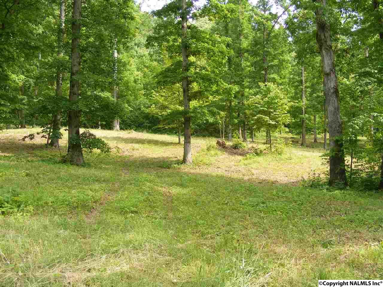 1601 County Road 608 - Photo 1