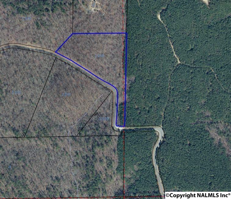 Lot 1, Add. 2 County Road 137 - Photo 1