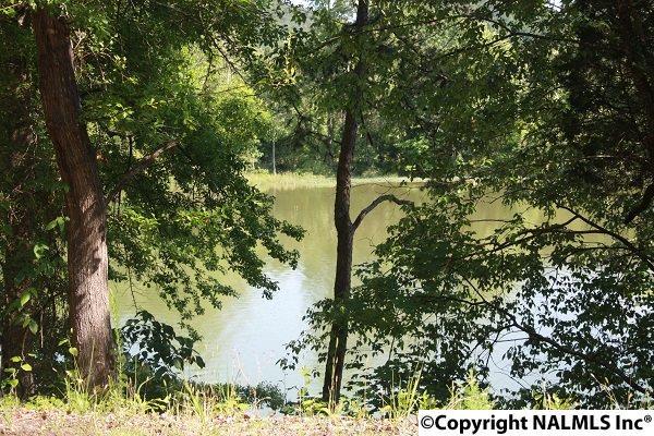 510 County Road 165 - Photo 1