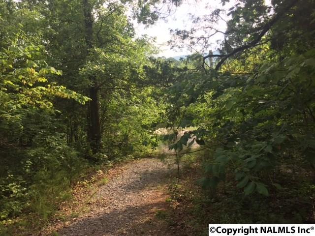 Lot 8 Coy Wilborn Lane - Photo 1