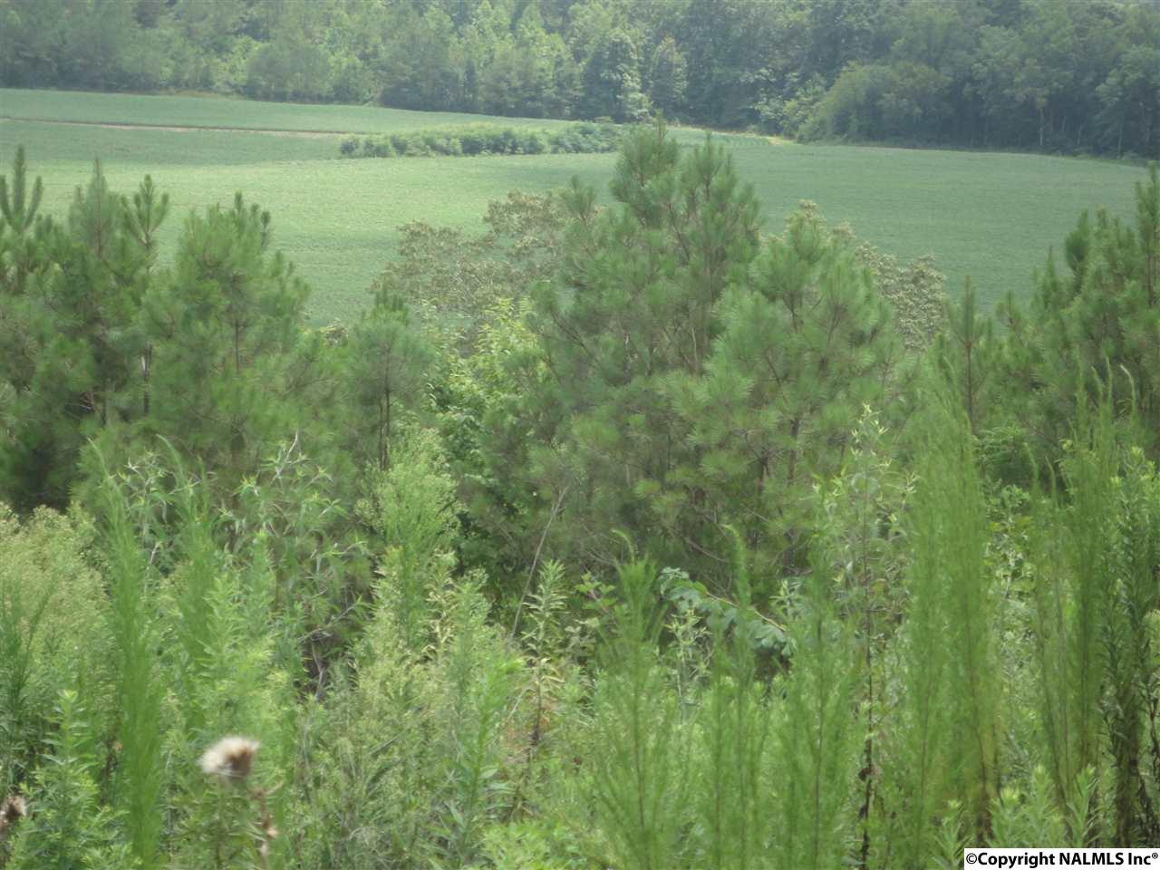 18 Hwy 9 - Photo 1