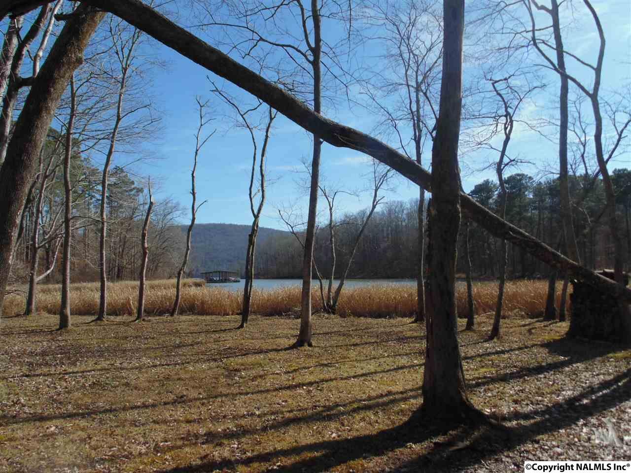 187 Lookout Mountain Drive - Photo 1