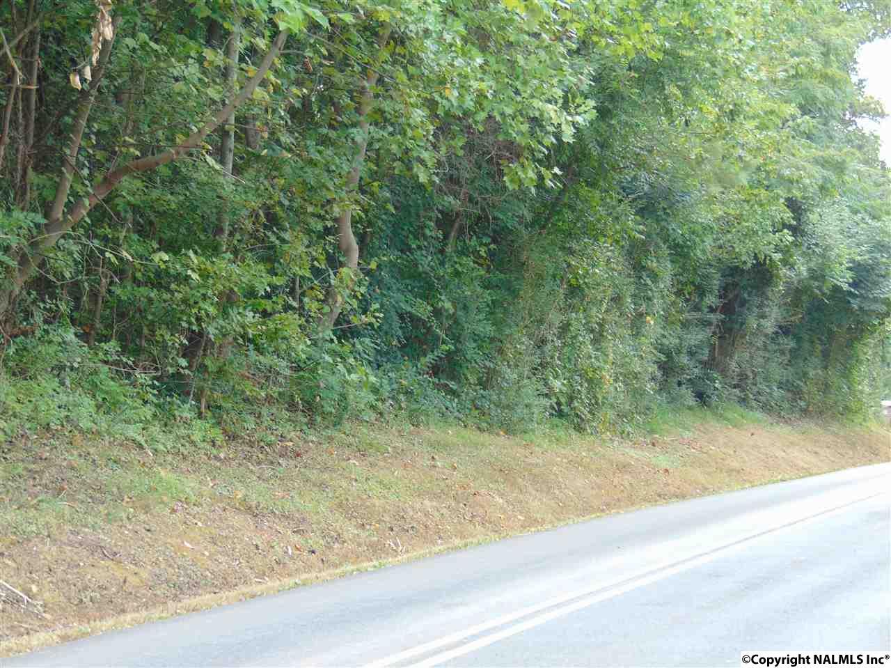 0 Willow Beach Road - Photo 1