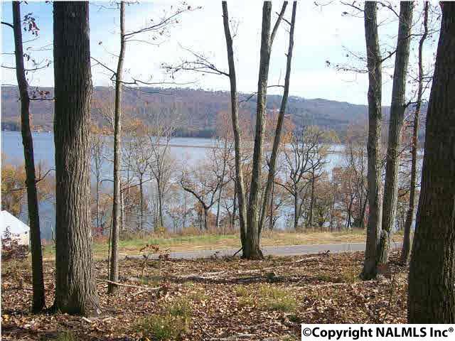 81 Monte Sano Drive - Photo 1