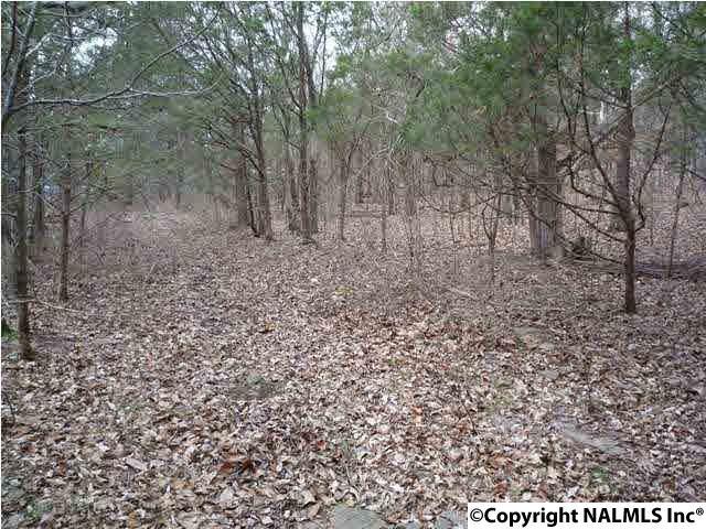 1607 Chandler Road - Photo 1
