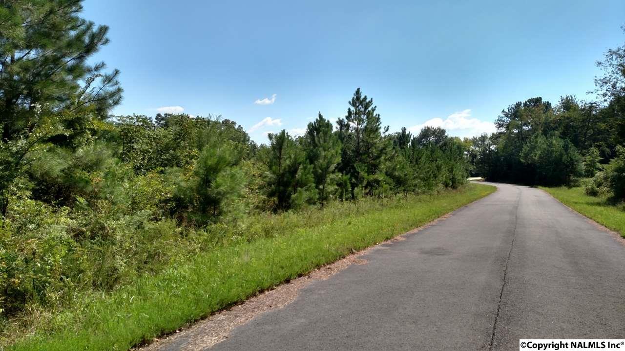 Lot 107 Drew Drive - Photo 1
