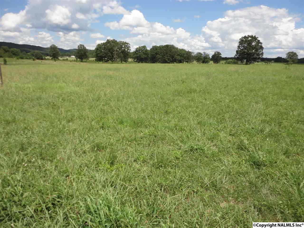 915 Belvidere Drive - Photo 1
