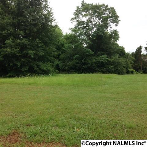 Lane Road - Photo 1
