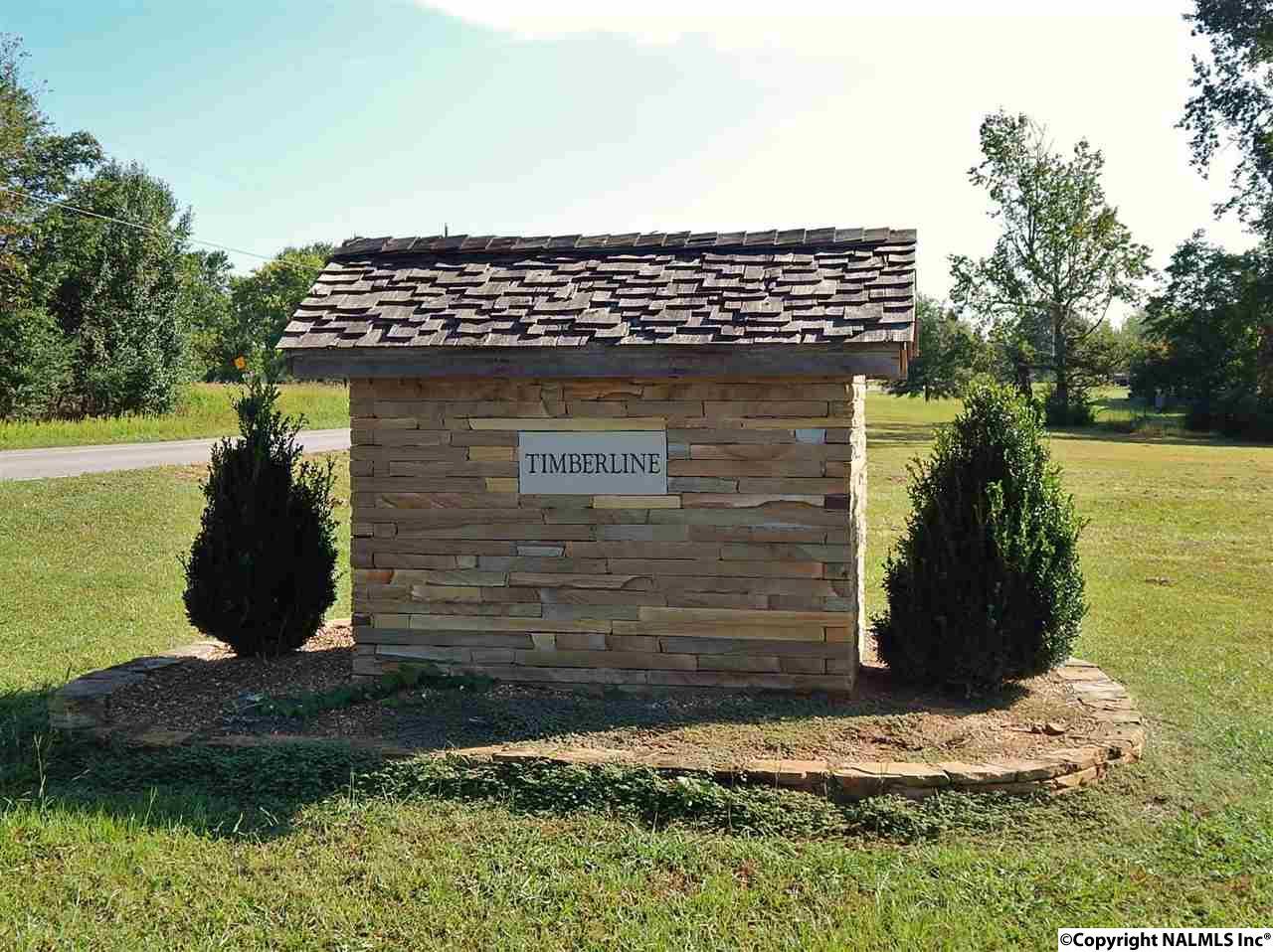 Timberline Drive - Photo 1